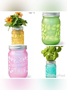 Modern Sprout Pint Jar Grow Kits bundles